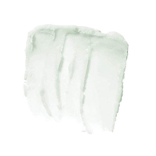 e.l.f. Lip Exfoliator, Mint Maniac